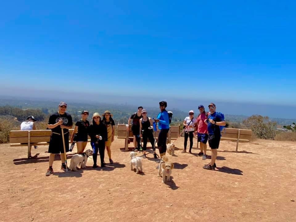 pet ministry 3